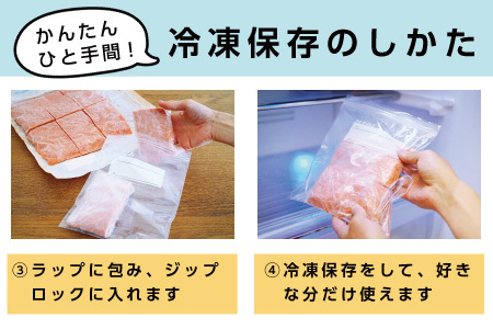 鮭フレーク塩味1kg G-16004