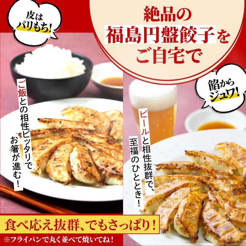 No.2473 ふくしま餃子の会　餃子の照井　焼き餃子（６０個）