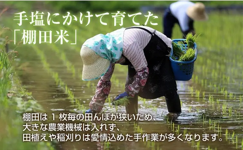棚田米 魚沼産 コシヒカリ 20kg 新潟県 十日町市 松代地区 限定 棚田 こしひかり （お米屋秘伝！美味しいご飯の炊き方ガイド付き） 精米 ブランド米 銘柄米 