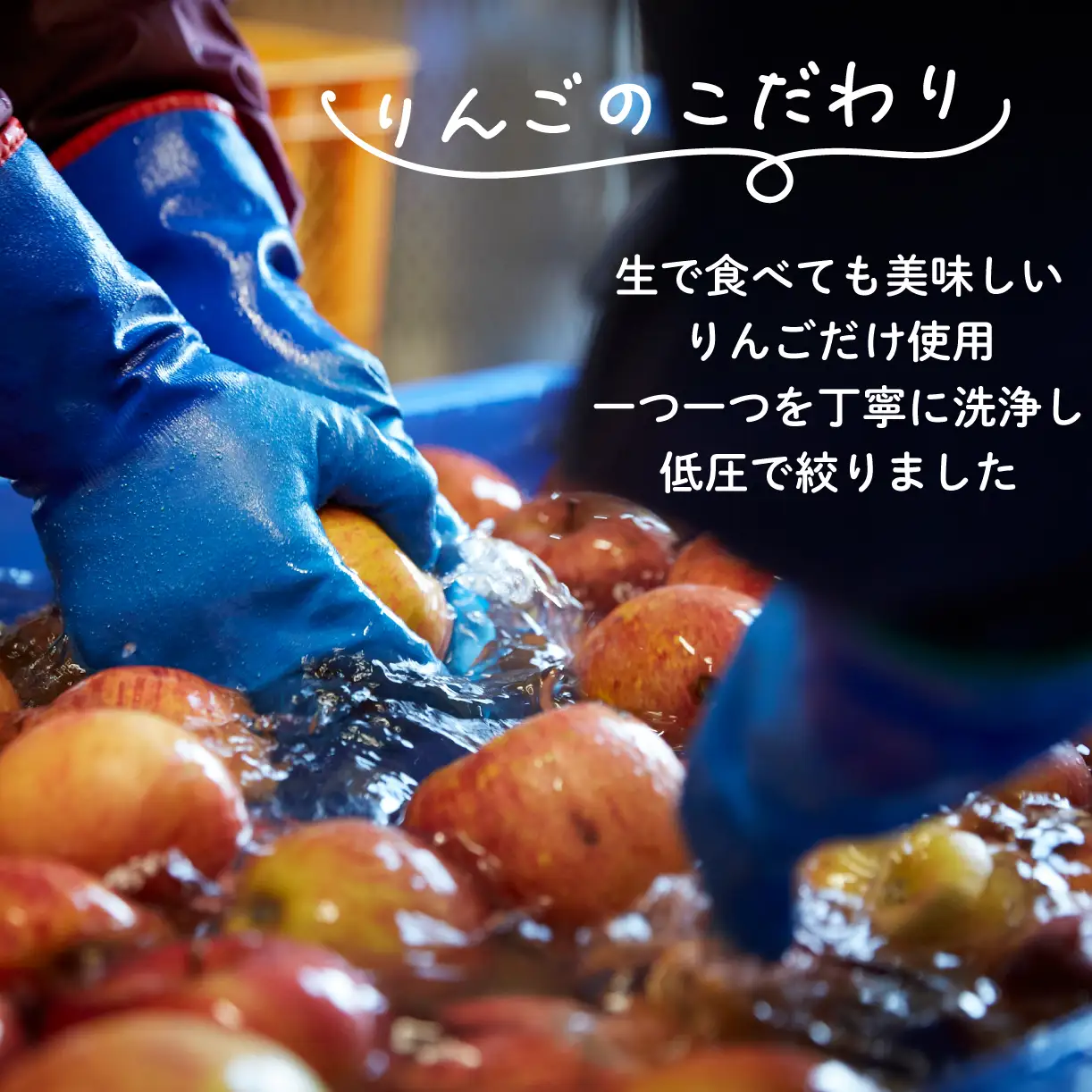 【スピード発送】 アップル シードル 750ml 1本  