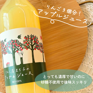 アップルシードル 750ml ジュース 720ml 2本セット お酒 辛口 アルコール 砂糖不使用 りんご 林檎 りんごジュース 米崎りんご 岩手県 大船渡市