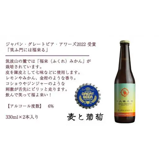 2年連続！《 ジャパン・グレートビア・アワーズ 受賞 》クラフトビール3種 計 6本セット
