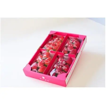 豪華!栃木イチゴ2種(スカイベリー・とちあいか)大粒 食べ比べセット (300g×4パック)_いちご 苺 フルーツ 果物 くだもの スカイベリー とちあいか 栃木 2種 セット 人気 おすすめ 送料無料 ギフト 贈答 食べ比べ_【配送不可地域：離島・沖縄県】【1366949】