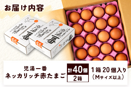 ＜児湯養鶏自慢の卵 ＞ネッカリッチ赤たまご「児湯一番」計40個（20個入×2箱）【B19】