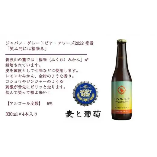 2年連続！《 ジャパン・グレートビア・アワーズ 受賞 》クラフトビール 3種 計 12本 セット