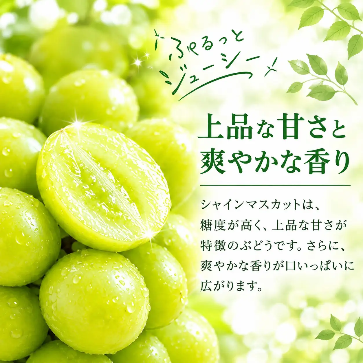 シャインマスカット 約1.1Kg（２~3房）【2027年発送】　シャインマスカット フルーツ