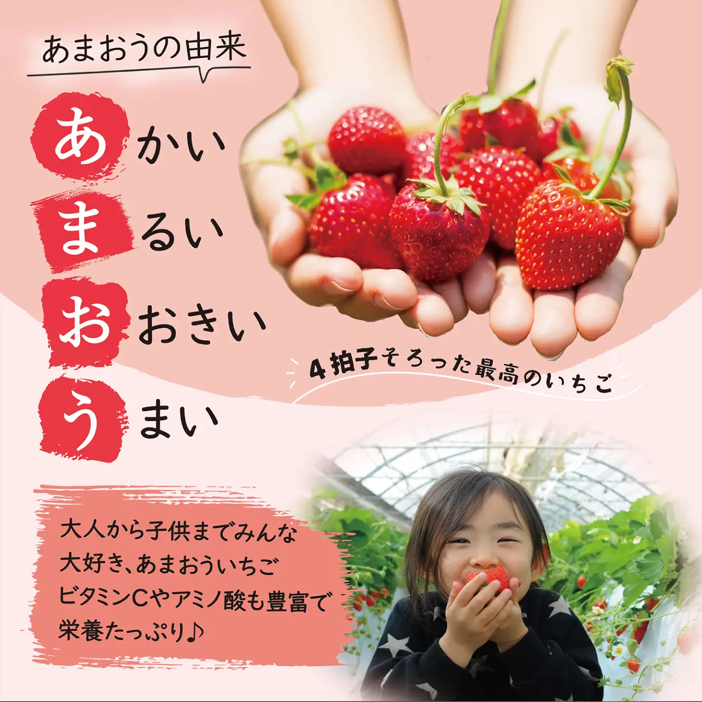 【先行受付】あまおう いちご 1,080g ( 約 270g × 4パック ) 【2027年1月中旬以降順次発送】糸島市 / 株式会社HSP-テクノ [AZL001] グランデ 等級 福岡県産
