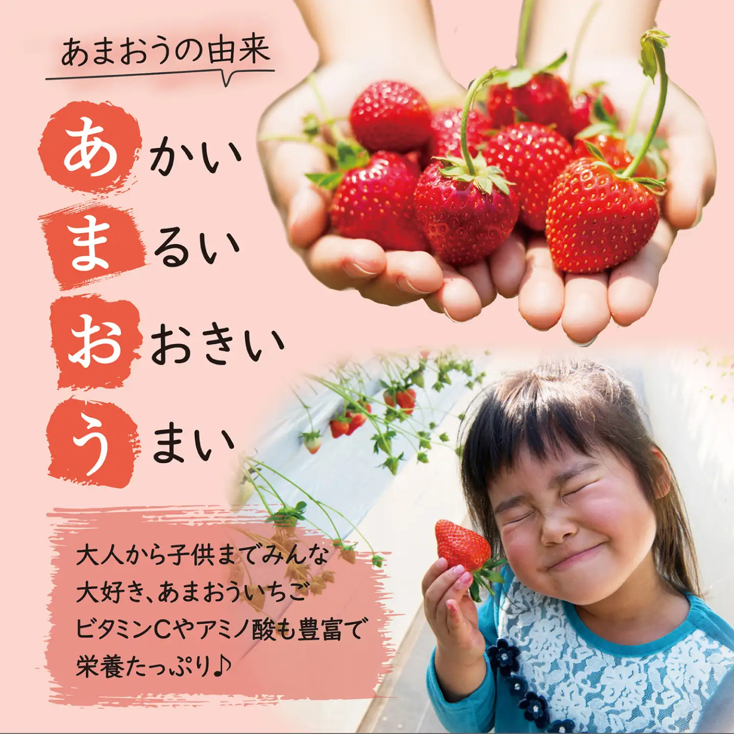 【先行受付】あまおう いちご 1,620g ( 約 270g × 6パック ) 【2027年3月初旬以降順次発送】 糸島市 / 株式会社HSP-テクノ [AZL002] グランデ 等級 福岡県産
