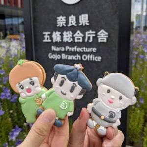 五條市 の マスコットキャラクター 「 ゴーカスター 」の アイシングクッキー ｜ lis blanc 