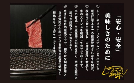 つべつ和牛 ビーフカレー 4食セット | 牛肉 黒毛 和牛 レトルト カレー 欧風カレー 詰合せ 詰め合わせ 北海道 津別町 送料無料