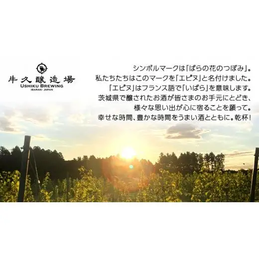 【 数量限定 】エピヌ カベルネソーヴィニヨン ＆ メルロ 2021 茨城県産 牛久醸造場 日本ワイン 赤ワイン 750ml × 1本 やや辛口 ミディアムボディ お酒 贈り物 ドライプルーン