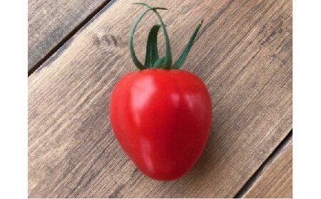 【4月～6月の定期便】たっぷり約2kg×3回！ 人気No.1トマトベリーの定期便 野菜ソムリエサミット 金賞 受賞 長田農園 産地直送 トマト とまと 野菜 やさい フルーツ サラダ 濃厚 甘い ご褒美 プレゼント 美容 健康 リピート多数 人気 高評価 数量限定 碧南市 H004-186