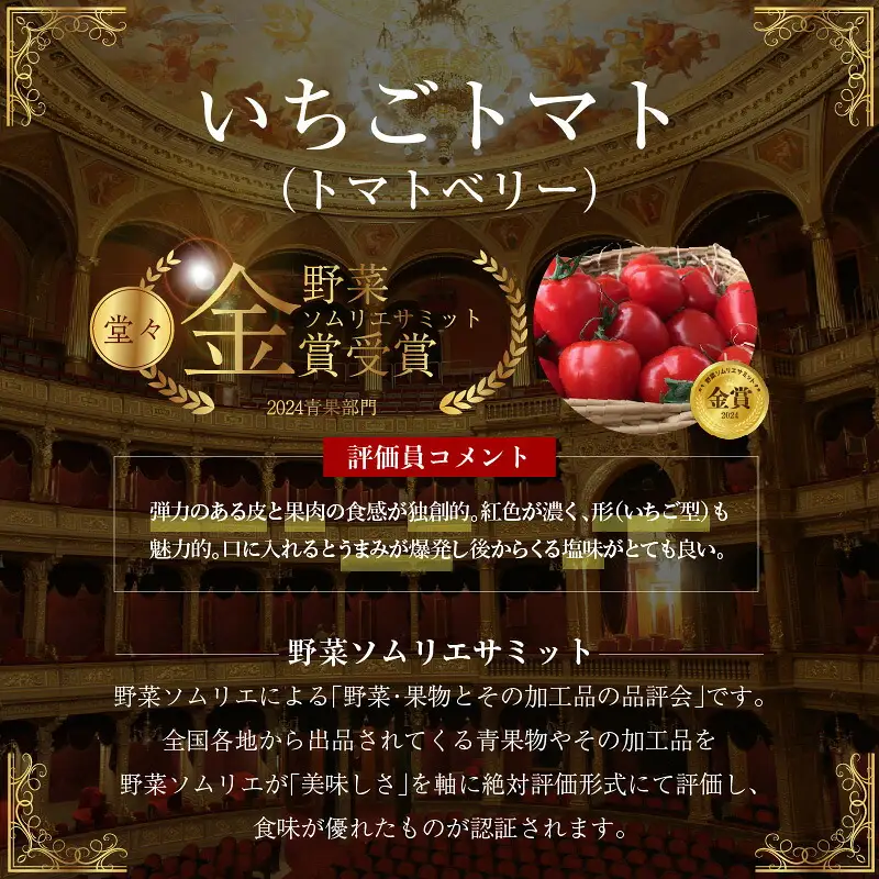 【2027年発送】【人気No.1セット】ファンにならずにいられない ファーストトマト＆トマトベリー 計1.4kｇ（3月～5月で発送） H004-197