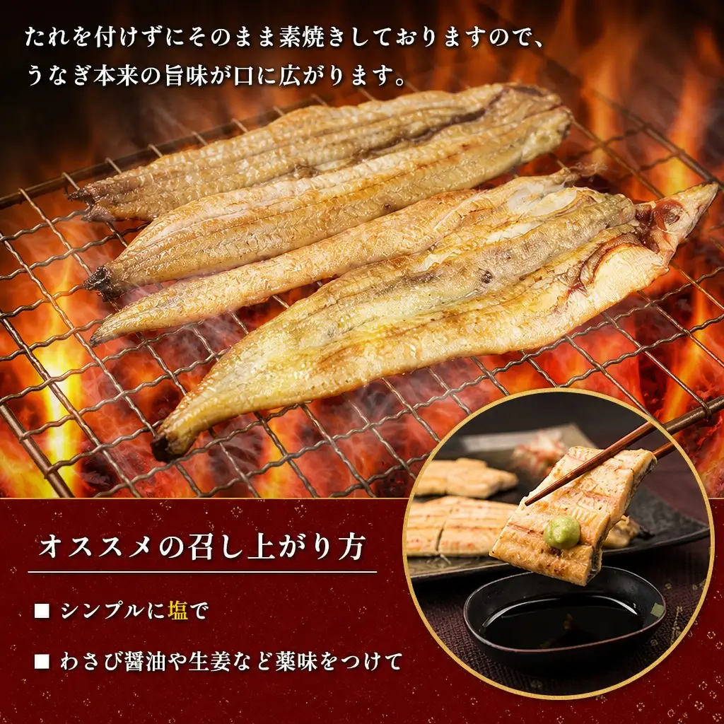 うなぎ 白焼き 2尾×3ヶ月 定期便 鰻 E209