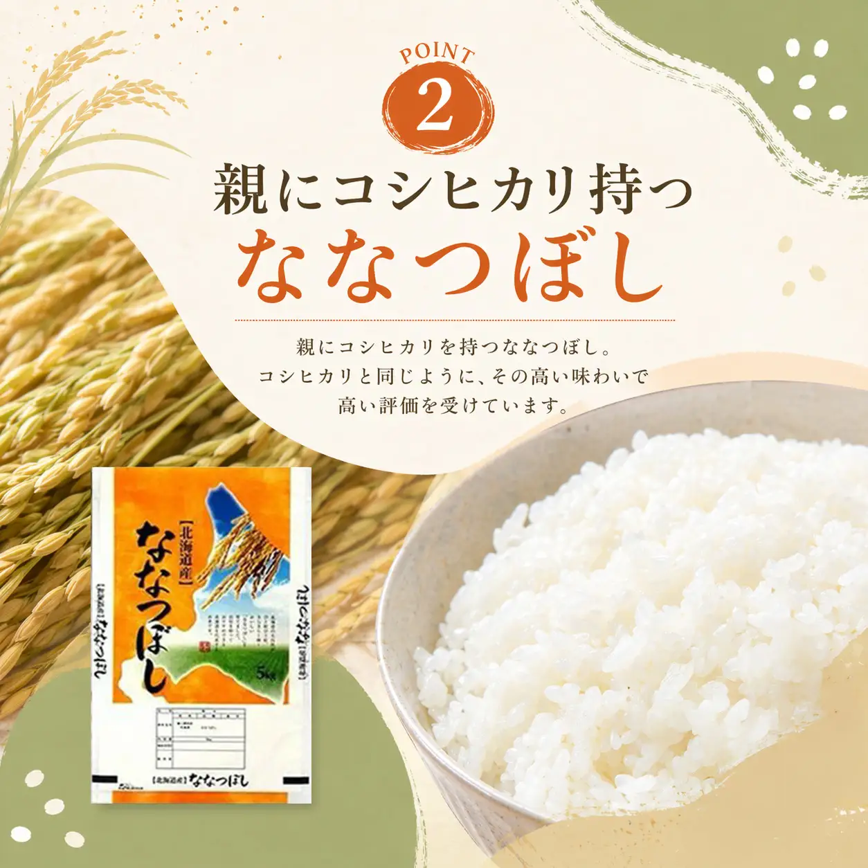 【特Aランク】令和7年北海道産ゆめぴりか・ななつぼし食べ比べセット１０ｋｇ（各５ｋｇ）｜ ゆめぴりか