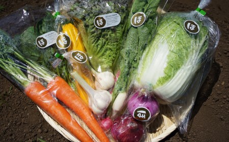 化学合成農薬等不使用で栽培！安心安全な「ほんまもん野菜」を8品目お届け♪　新鮮　旬の野菜　詰め合わせ