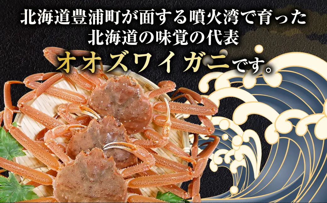 【令和8年先行受付】【訳あり】 北海道 豊浦 噴火湾 オオズワイガニ 約1.5～2kg（4～6尾） 数量限定