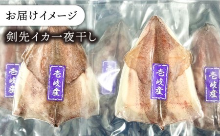 【お中元】イカ 刺身 一夜干し セット  [JCC009]  剣先イカ