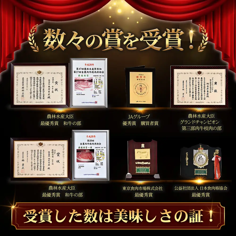 佐賀牛 切り落とし 1kg (500g×2) 黒毛和牛 和牛 切り落とし 牛肉 すき焼き 肉 しゃぶしゃぶ 佐賀県 鹿島市 C-94 