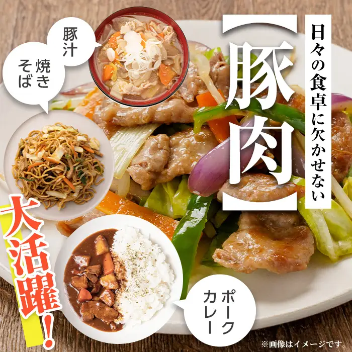 鹿児島県産 豚小間 切れ 計2.5kg(250g×10P) ＜訳あり＞ 【まつぼっくり】 i703