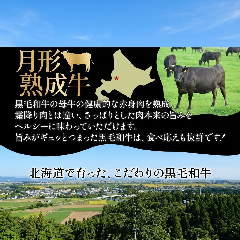 ハンバーグ 月形熟成牛 和牛 熟成肉【120g×10個 計1.2kg】【冷凍】