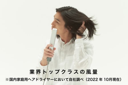 EE056_cado カドースティック型ヘアドライヤーbaton（バトン） シルバー
