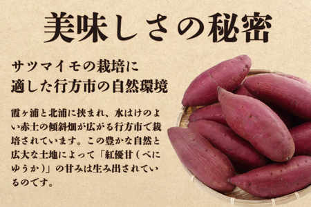 AE-36　【天皇杯受賞】さつま芋使用　紅優甘の平干し芋 約300g（化粧箱入り）