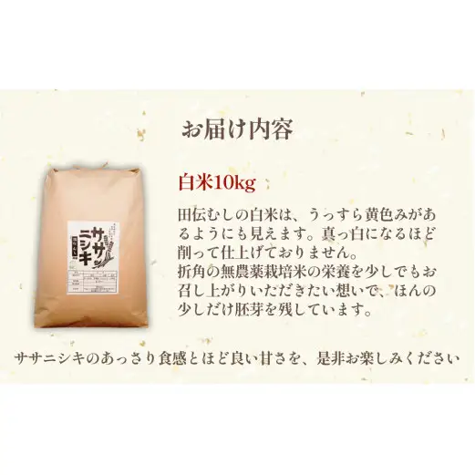 特別栽培米 ササニシキ 白米 10kg