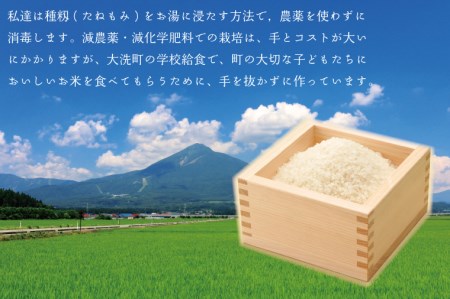 先行予約 新米 令和8年産米 10kg すぐ発送 すぐ届く 低農薬米 大洗 日の出米 コシヒカリ 精米 令和8年産 特別栽培米 コメ こめ 送料無料_BS003