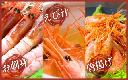 瞬間冷凍！越前産 甘エビ 500g（250g × 2）解凍しやすい仕切り付き♪【えび エビ 海老 冷凍 福井県 甘えび 甘エビ あまえび】 [e22-a004]