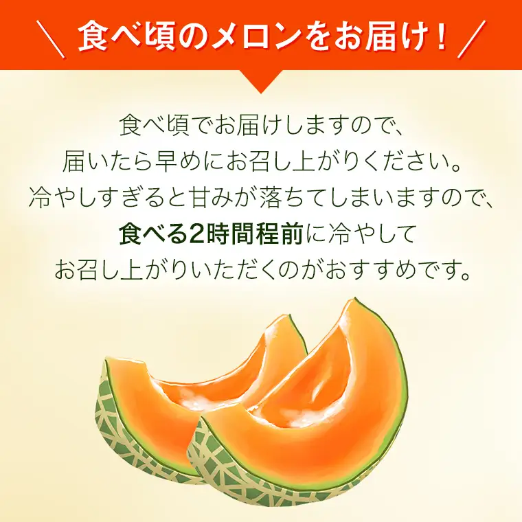 《 2027年 収穫分 》 I.K メロン ( 赤肉 ) 2玉 糖度15度以上 先行予約 茨城県 桜川市 藤田吉光 国産 農家直送 高級 赤肉 完熟 アイケーメロン ブランドメロン デザート フルーツ 果物 くだもの 旬 甘い ご自宅用 ご家庭用 ギフト 贈答 プレゼント [CT001sa]