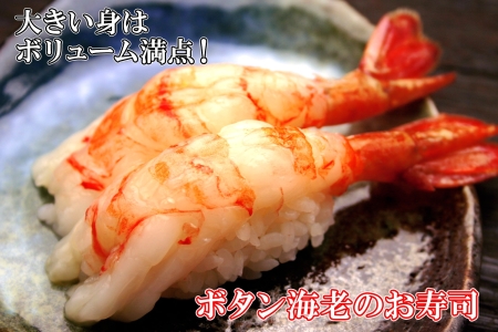 ボタンエビ 500g 海鮮 ぼたんえび ボタン海老 ぼたん海老 エビ 刺身 おつまみ 酒の肴 魚介 送料無料 16000円 北海道 弟子屈町 1311