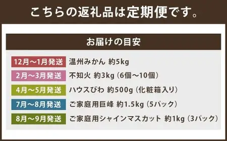【定期便5回コース】時津の果物定期便 みかんとぶどうの町から贈る 特産品の定期便 シャインマスカット 巨峰 みかん 不知火 びわ 【2025年12月上旬より順次発送予定】