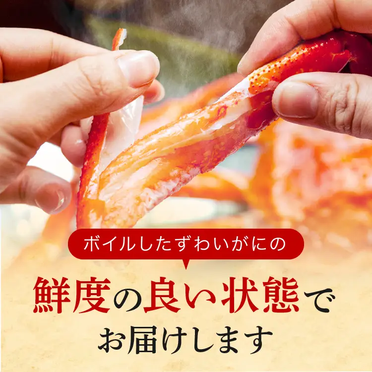 訳あり ボイル ずわいがに 1kg かに 蟹 カニ _AP032