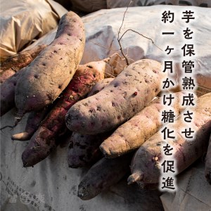 【先行予約】 12月以降発送 さつまいも 熟成 紅はるか 芋 10kg _CE005
