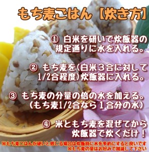 CIC04_ダイシモチ４ｋｇ