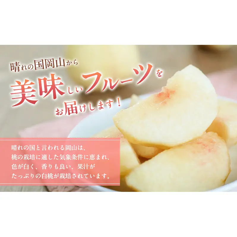 桃 2026年 先行予約 岡山 白桃（晩生種）ご家庭用 約2kg 6～9玉入り もも モモ 岡山県産 国産 フルーツ 果物 直送！せとうちバスケット こだわり 特産品 白い 香り 果汁 シーズン 高糖度 