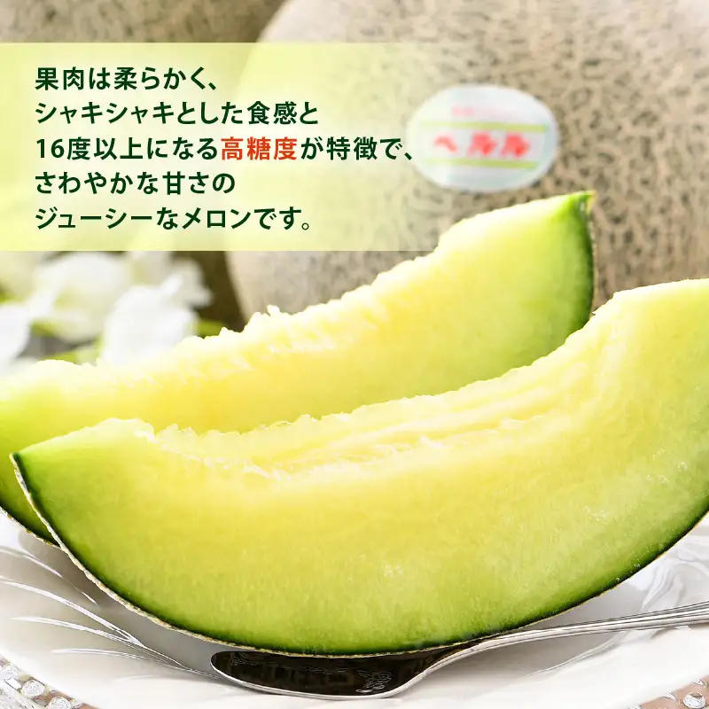 【先行予約】ペルルメロン 3L 2玉入（1.7kg以上×2玉）糖度16度以上！／ 1株1果 大玉 青肉 メロン 果物 フルーツ ギフト 農家直送 ※2027年6月下旬より順次発送 [aw045-a003]