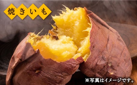 さつまいも 紅はるか 約5kg /おかわりのうえん [UDD001] サツマイモ