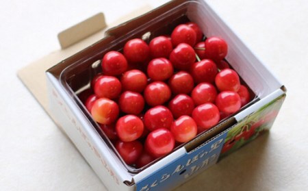 【2027年先行予約】山形県産 朝摘みさくらんぼ特選佐藤錦500g ギフト箱入り FSY-0347