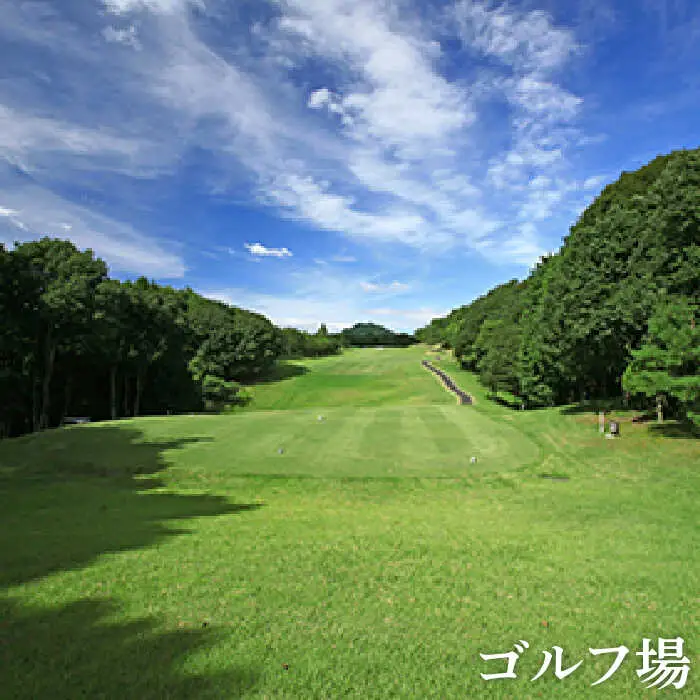 ゴルフ場利用券 3万円分/武雄嬉野カントリークラブ  [UAA002] ゴルフ