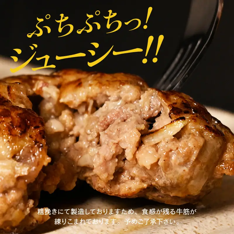 ハンバーグ 120g × 10個 ソース付き 生ハンバーグ [A-2262]