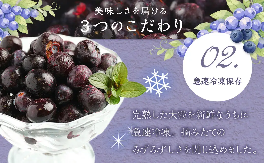 九重町産 冷凍 ブルーベリー 約1kg (1kg×1袋)  果物 フルーツ 冷凍フルーツ 冷凍果物 大分県 九重町産 