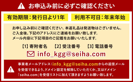 1日英語漬けであそぼう体験チケット（子ども1名様、保護者1名様）親子 KGG 英語村 英語 グローバル 教育 福岡県 北九州市