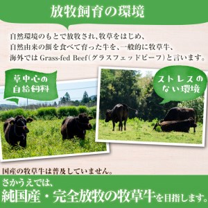牧草育ちの里山牛 ステーキ食べ比べセット(ヒレ・サーロイン) 計540g b8-019