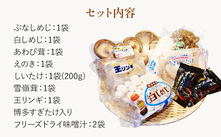 きのこ詰め合わせ　9点セット　CD19
