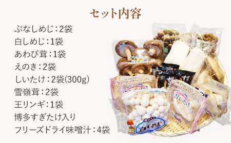 きのこ詰め合わせ　15点セット　CD18