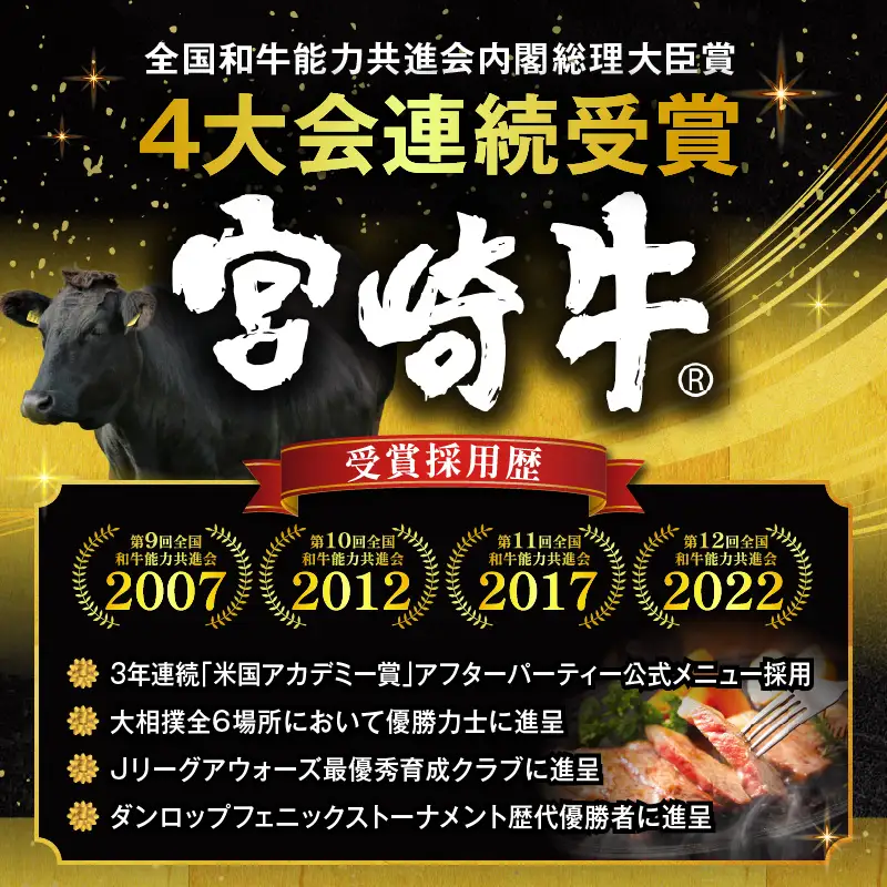 牛肉 ステーキ 牛肉 [宮崎牛 ロース 500g]