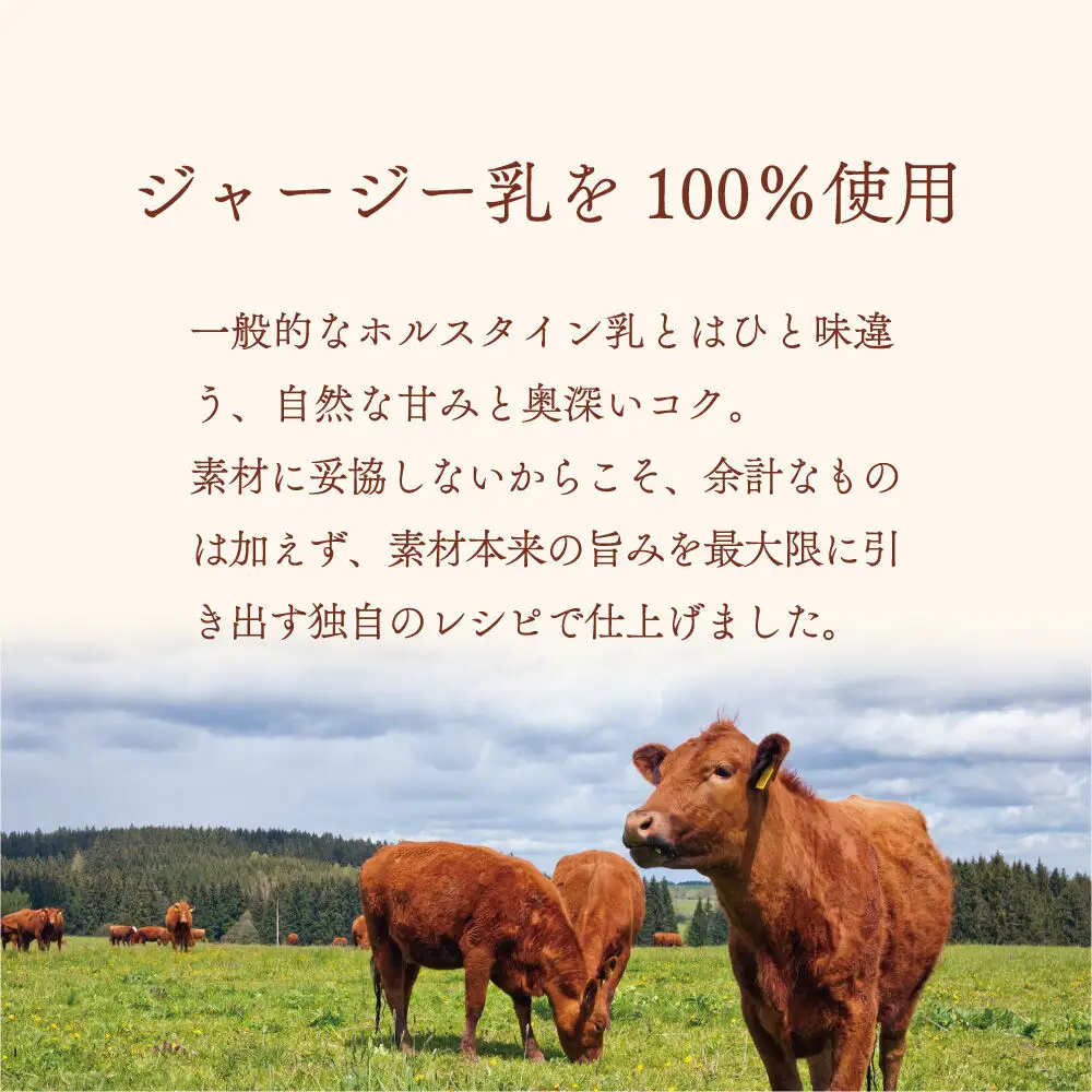 ジェラテリア TiG（ティグ）イタリアンジェラート 無着色・無香料 ミルキージャージー 2000ml（2L）