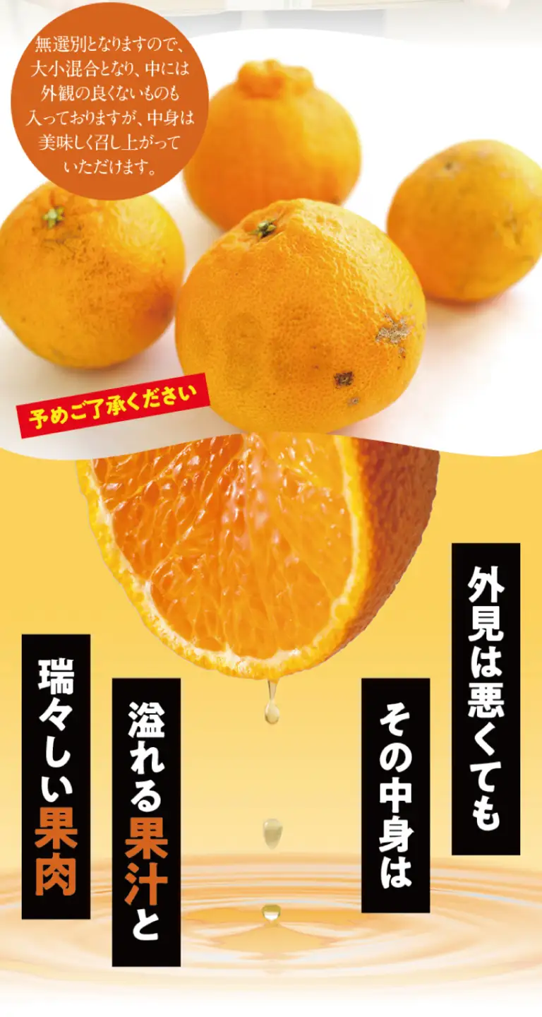 不知火 訳あり 約3.5kg ＋痛み保証 大小混合 不知火【njb670E】